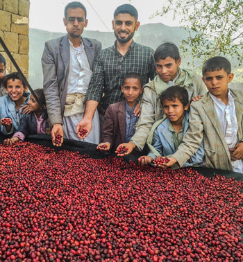 Yemen Anaerobic Slow Dry 6 Day Natural Al-Khanshali Estate II