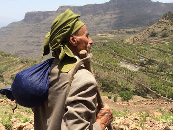 Yemen Anaerobic Slow Dry 6 Day Natural Al-Khanshali Estate II