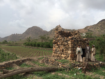 Yemen Anaerobic Slow Dry 6 Day Natural Al-Khanshali Estate II