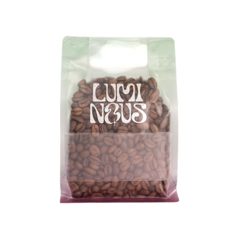 Ecuador Typica Washed TyOxy - Finca Soledad