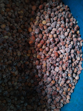 Colombia Hot & Cold Experimental Washed Robusta