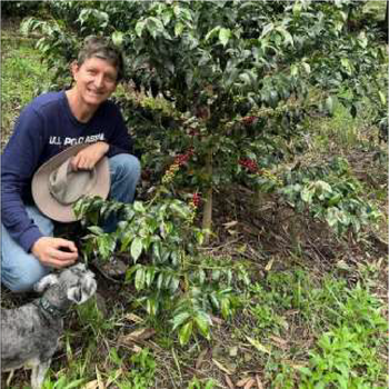 COLOMBIA PINK BOURBON NATURAL FINCA EL PARASIO