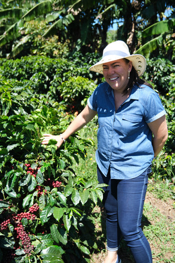 COSTA RICA LAURINA BLACK HONEY