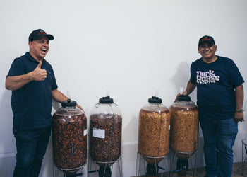 Colombia Tamarindo Culí Purple Caturra Washed Co-Ferment