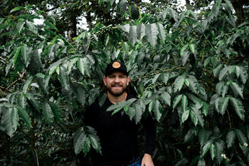 Colombia Decaf Intense Strawberry Co-Ferment