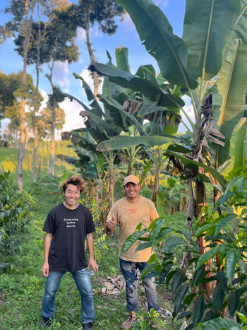 Colombia Pink Bourbon Natural