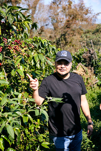 Mexico Anacafe 14 Natural Finca Xilontla