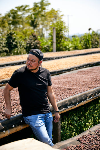 Mexico Anacafe 14 Natural Finca Xilontla