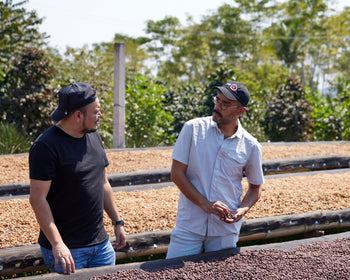 Mexico Anacafe 14 Natural Finca Xilontla