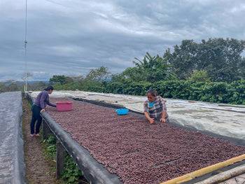 Mexico Anacafe 14 Natural Finca Xilontla