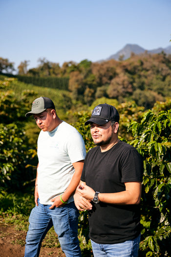 Mexico Anacafe 14 Natural Finca Xilontla