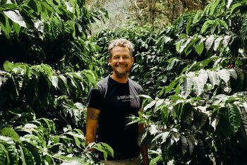 Ecuador Typica Washed TyOxy - Finca Soledad