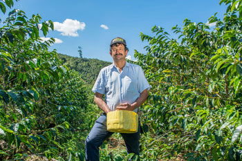 Peru Finca Ecológica Caturra Natural