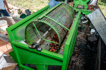 Peru Finca Ecológica Caturra Natural